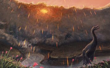 Shards asteroid site that killed have dinosaurs
