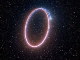 Star strange path around black hole