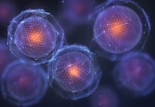 The Discovery of Stem Cells: Their Potential for Regenerative Medicine