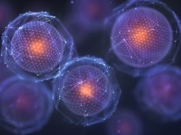 The Discovery of Stem Cells: Their Potential for Regenerative Medicine