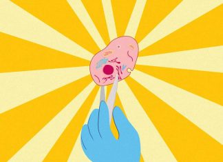 The Power of Stem Cells: The Revolutionary Technology That Can Heal and Regenerate