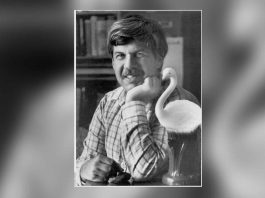 Stephen Jay Gould: The Paleontologist and Evolutionary Biologist Who Wrote on Evolution and Natural History