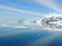 Substance found in antarctic ice may be harmful