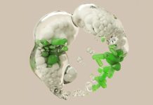 The Promise and Perils of Synthetic Biology: The New Science of Creating Life