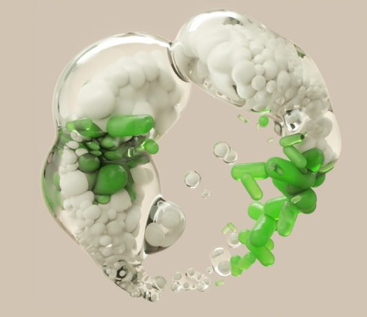 The Promise and Perils of Synthetic Biology: The New Science of Creating Life