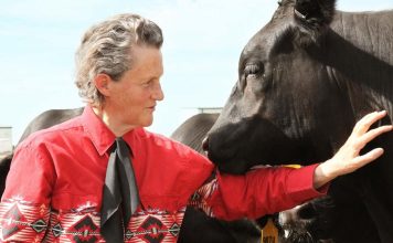 Temple Grandin: The Animal Scientist and Autism Advocate Who Revolutionized Livestock Handling