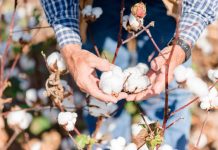 The Science of Textiles: From Natural Fibers to Synthetic Materials