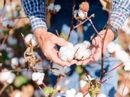 The Science of Textiles: From Natural Fibers to Synthetic Materials