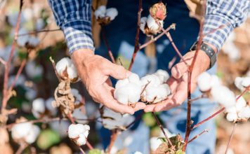 The Science of Textiles: From Natural Fibers to Synthetic Materials
