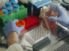Scientists Develop New Treatment for Parkinson’s Disease