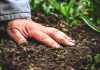 Scientists Discover New Type of Antibiotic in Soil Samples