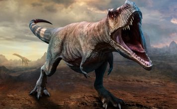 Tyrannosaurus rex