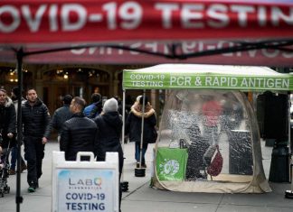 Us cov id-19 statistics