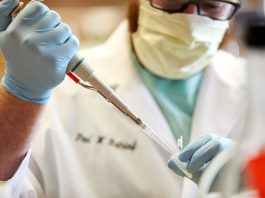 Was covid made in a lab