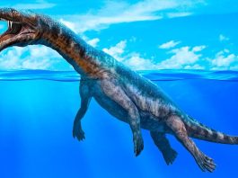 Water dinosaurs
