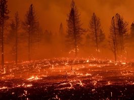 Western wildfires