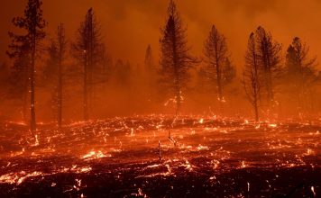 Western wildfires