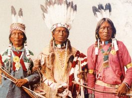 Where did native americans come from
