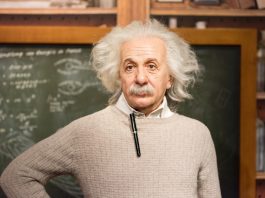Where is albert einstein’s brain