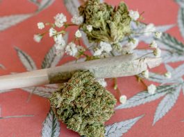 Who was the first person to smoke weed