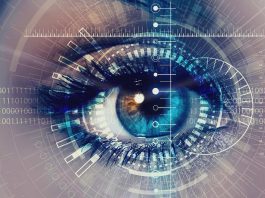 The World of Biometrics: The Science of Identifying Individuals