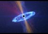 The World of Black Holes: Their Formation, Properties, and Consequences