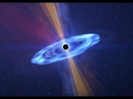 The World of Black Holes: Their Formation, Properties, and Consequences