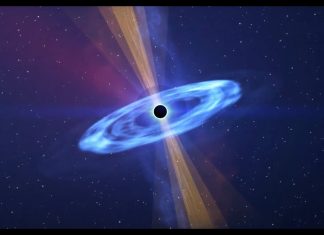 The World of Black Holes: Their Formation, Properties, and Consequences